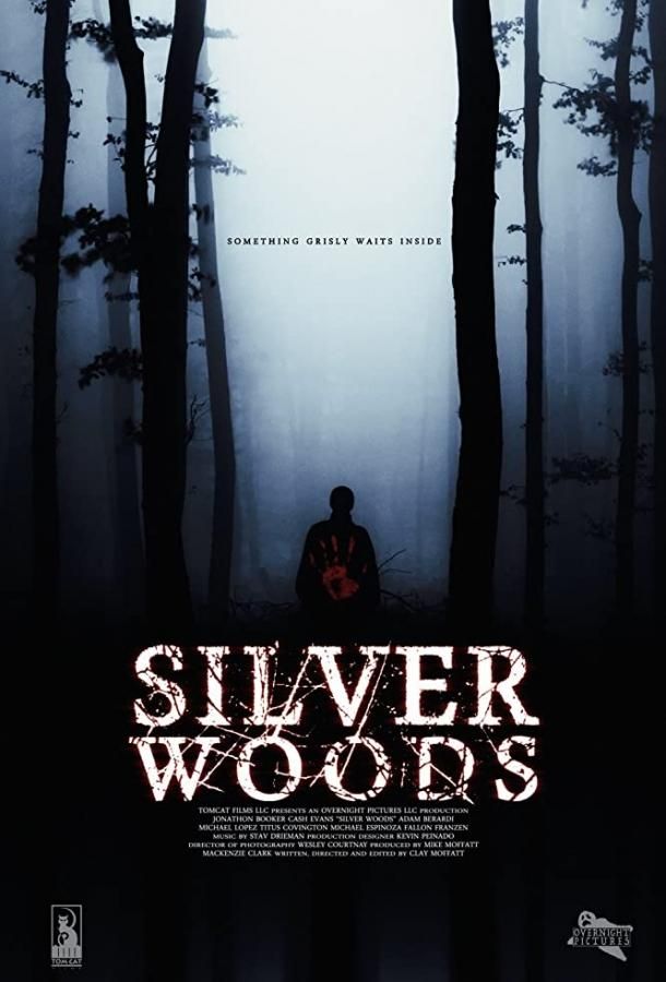 Silver Woods (2017)