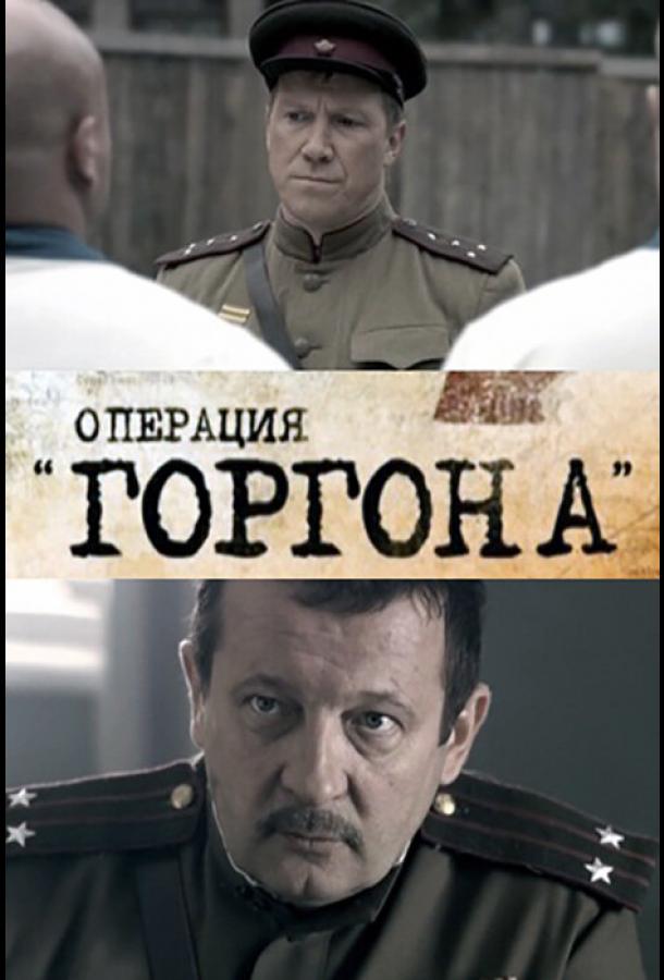 Операция «Горгона» (2011)