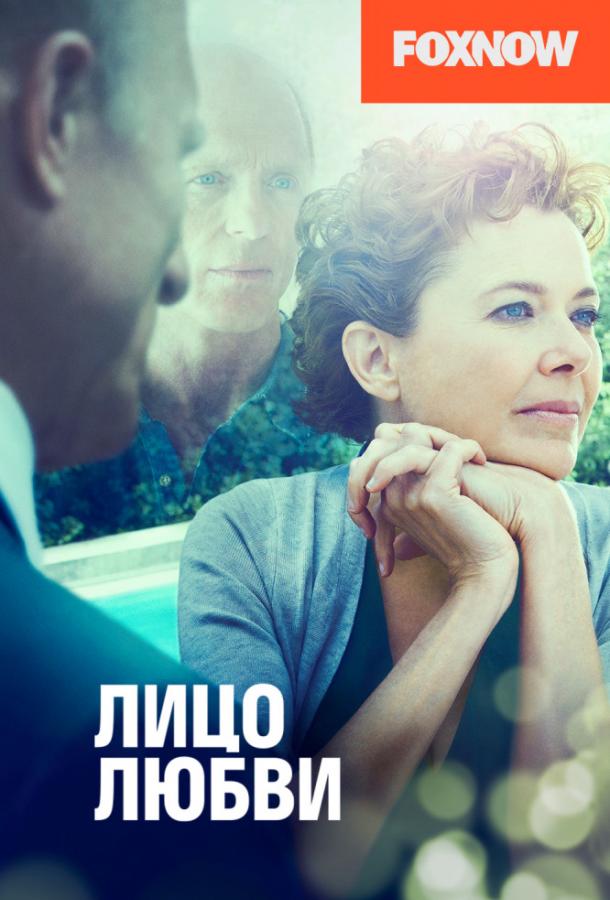 Лицо любви (2013)